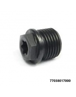 KTM výpustná skrutka 77038017000
