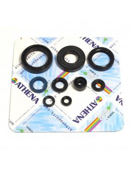 Sada gufier motora Kawasaki KX 125 1994-2008