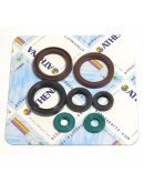 Sada gufier motora KTM EXC 400/450/530 2009-2011