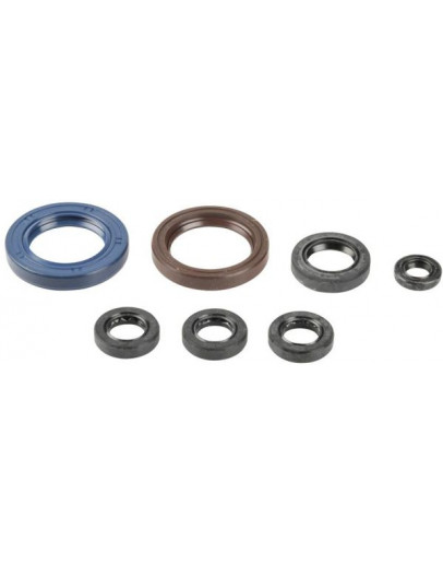 Sada gufier motora KTM EXC/SXF 450-520 2003-2006