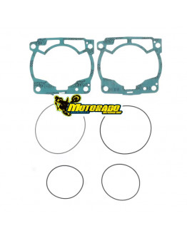 Sada tesnení pod hlavu a valec KTM SX 250/ EXC 250-300 2017-2023,Husqvarna TC 250/TE 250-300 2017-2023,Gas-Gas EC/MC/EX 250/300 RACE