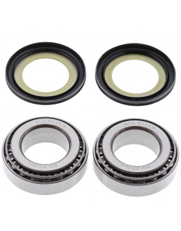 Sada ložísk a gufier krku riadenia 22-1003