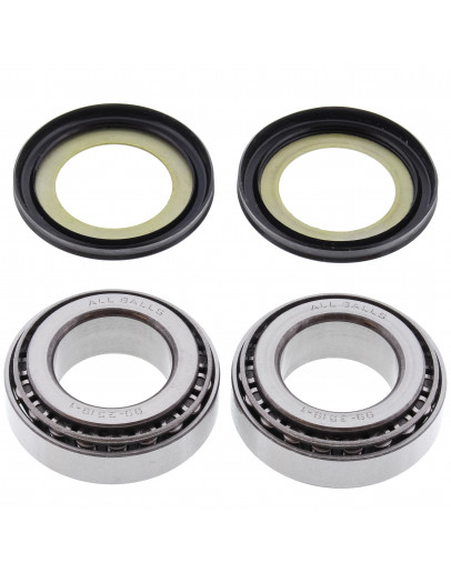 Sada ložísk a gufier krku riadenia 22-1003